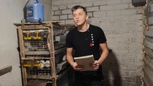 Выгодно ли держать перепела?