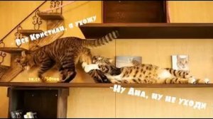 50 Оттенков Серого.  Fifty Shades Darker.  На пятьдесят оттенков темнее .  Демотиваторы