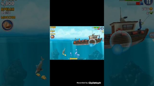 Я играю в Hungry Shark\ первое видео смотреть онлайн