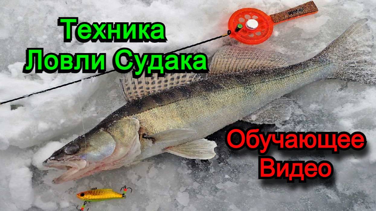 Подробная Техника Ловли СУДАКА Подводная Съемка смотреть онлайн
