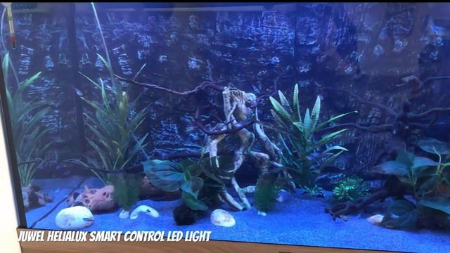Juwel HeliaLux Aquarium Smart Control Light!! Stunning!!
