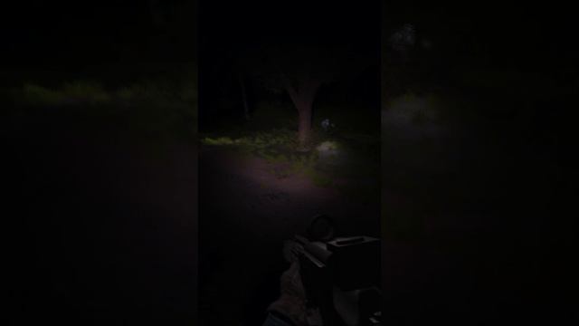 AHHH! #stalkeranomaly #stalkergamma #gamma #anomaly #efp #stalkerefp #stalker #gaming смотреть онлайн