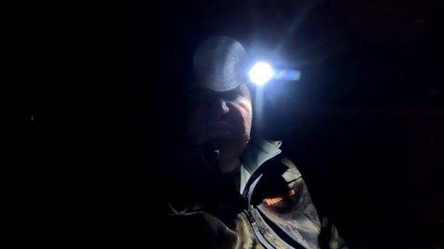 ОХОТА НА МЕДВЕДЯ/РОСОМАХА В УГОДЬЯХ/ГЛУХАРЬ смотреть онлайн