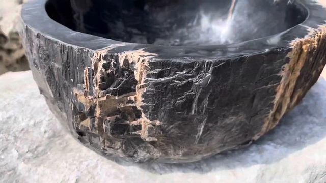 Раковина из окаменелого дерева, 30 кг смотреть онлайн