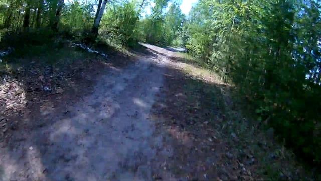 Bafang Bbshd 48v 1000w