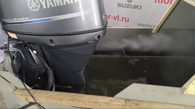 Yamaha F50 EFI запуск двигателя