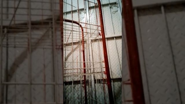 CAT RAK ROTI LAMA BIAR JADI BARU LAGI смотреть онлайн