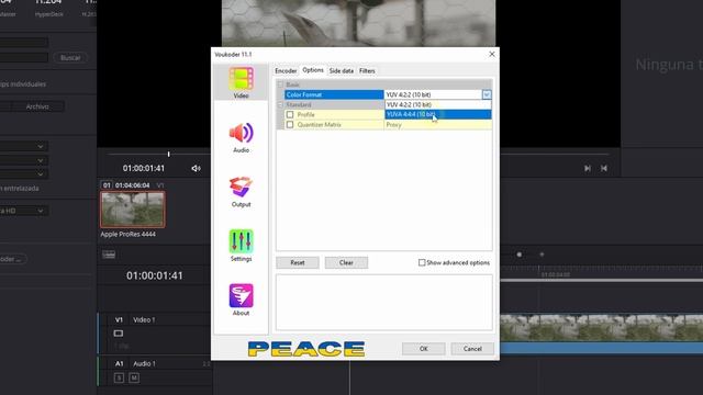 CÓMO exportar en PRORES con DaVinci Resolve EN WINDOWS [TUTORIAL completo] смотреть онлайн