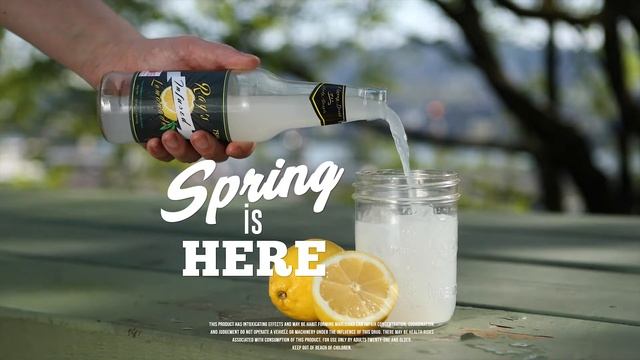 Ray's Lemonade - Instagram Ad смотреть онлайн