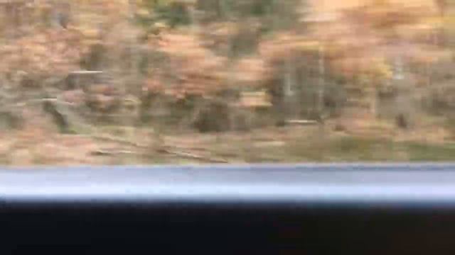 Vlog: Польша| ~2 дня в Польше~| смотреть онлайн