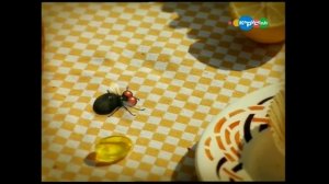 Букашки(мультсериал). Все серии подряд без рекламы и заставок (Без задержек смотрим на Я.Дзен)