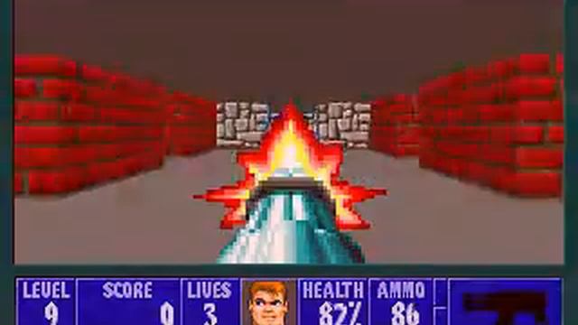 PC-Wolfenstein 3D E1L9 (Hans Grosse)
