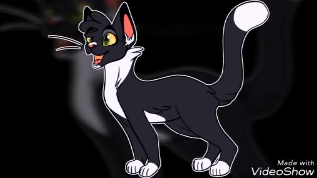 Warrior cats part 4 смотреть онлайн