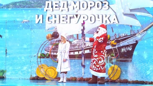 Новогоднее шоу в Минском дельфинарии смотреть онлайн