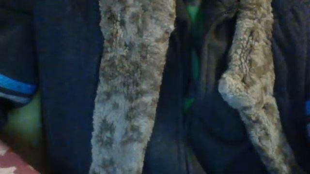 Видео с веб-камеры. Дата: 5 декабря 2013 г., 0:05. смотреть онлайн