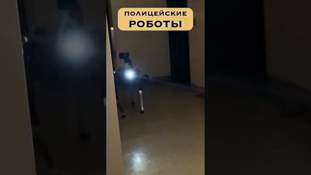 Будущее Полиции: СОБАКИ-РОБОТЫ! смотреть онлайн
