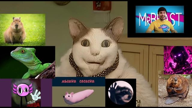 Сборник песен смотреть онлайн