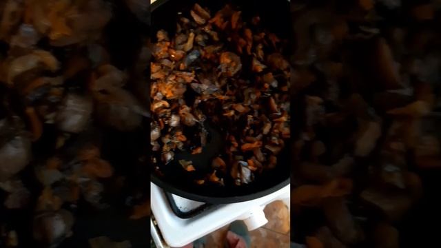 Грибной суп смотреть онлайн