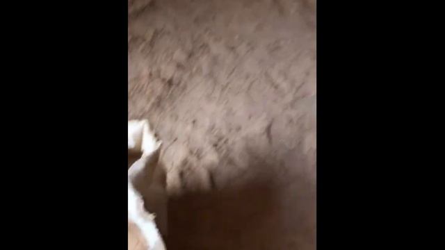 Отзыв нашего клиента о Вибросито ВС 1000-2 смотреть онлайн