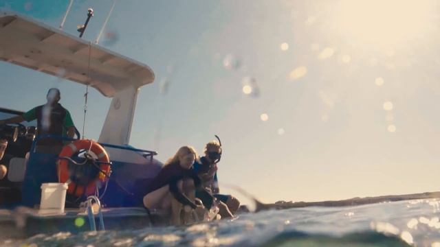 Kangaroo Island Marine Adventures смотреть онлайн
