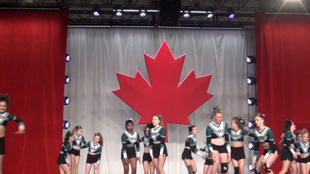 2013 Cheerport Zebra Sharks J3 Nationals -Day 2 смотреть онлайн