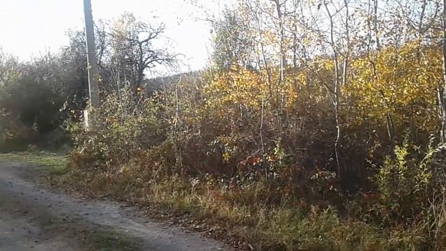 Тера Булгари / парцел в село Драгичево смотреть онлайн