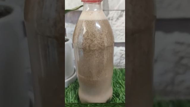 Milk And Coca Cola Experiment #trending#shorts#youtubeshorts#science#experiment смотреть онлайн