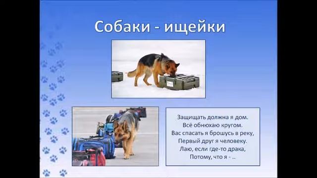 Собака друг и помощник смотреть онлайн
