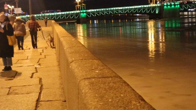 Январь, ясное небо, ночь, а температура около 0С. Тепло для середины зимы. Суббота, 18 января 2025 г