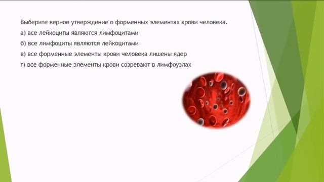 Биология. 2 урок. Подготовка к школьному этапу ВсОШ. 9-11 класс. смотреть онлайн