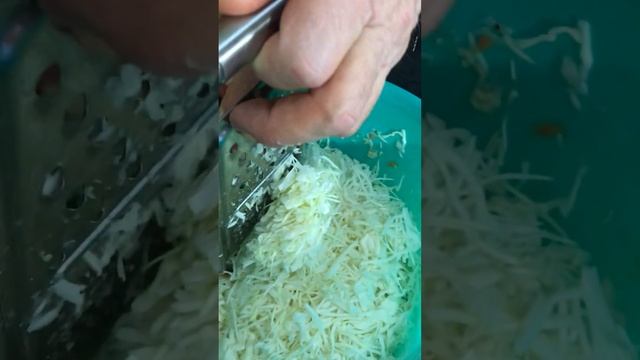 Практические занятия : квашеная капуста в собственном соку ( морковь, соль, семена укропа)