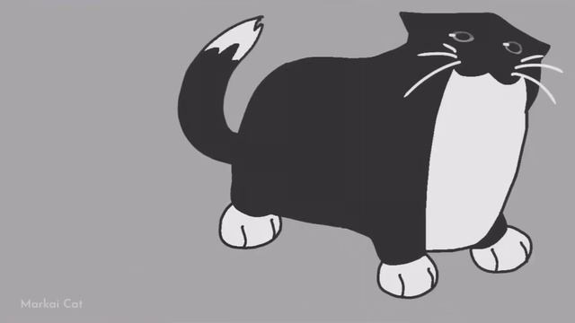 Maxwell Cat For 10 Minutes