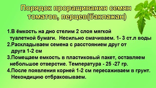 Как прорастить семена и посеять в грунт. ШПАРГАЛКА №3 смотреть онлайн