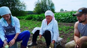 КУПИЛ 2 ДОМА В ДЕРЕВНЕ | БАБУШКА РАССКАЗЫВАЕТ ИСТОРИИ ИЗ ЖИЗНИ | ВЫРЕЗАЕМ ЛУК