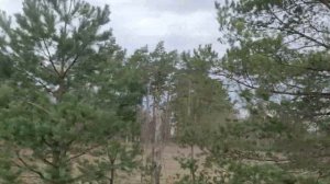 Изучение Борне Сулиново:  В/Ч 15332