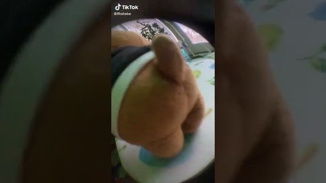 барсук в деле! 😉😎 смотреть онлайн