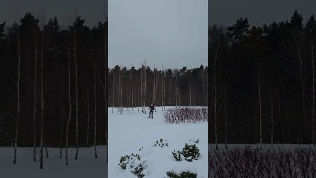 #коньковыйход поворот #лыжи смотреть онлайн