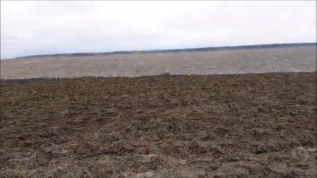 Русское поле смотреть онлайн