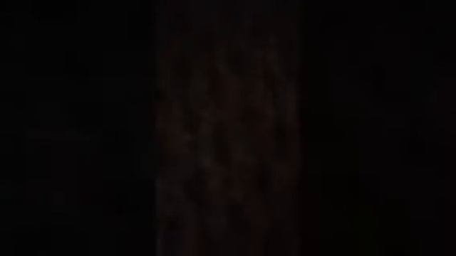 Zombie Zity Unboxing #1 - My First One смотреть онлайн