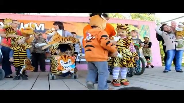День тигра 2014г смотреть онлайн