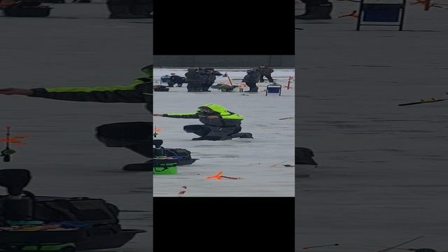 Сход форели смотреть онлайн