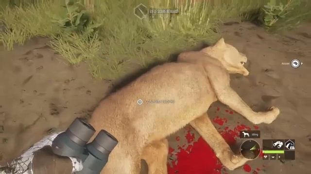 Diamond and Rare Montage for April 2023!|theHunter Call Of The Wild смотреть онлайн