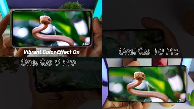 OnePlus 10 Pro Display | No More Crushed Shadows! смотреть онлайн