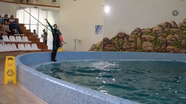 Дельфінарій Трускавець смотреть онлайн