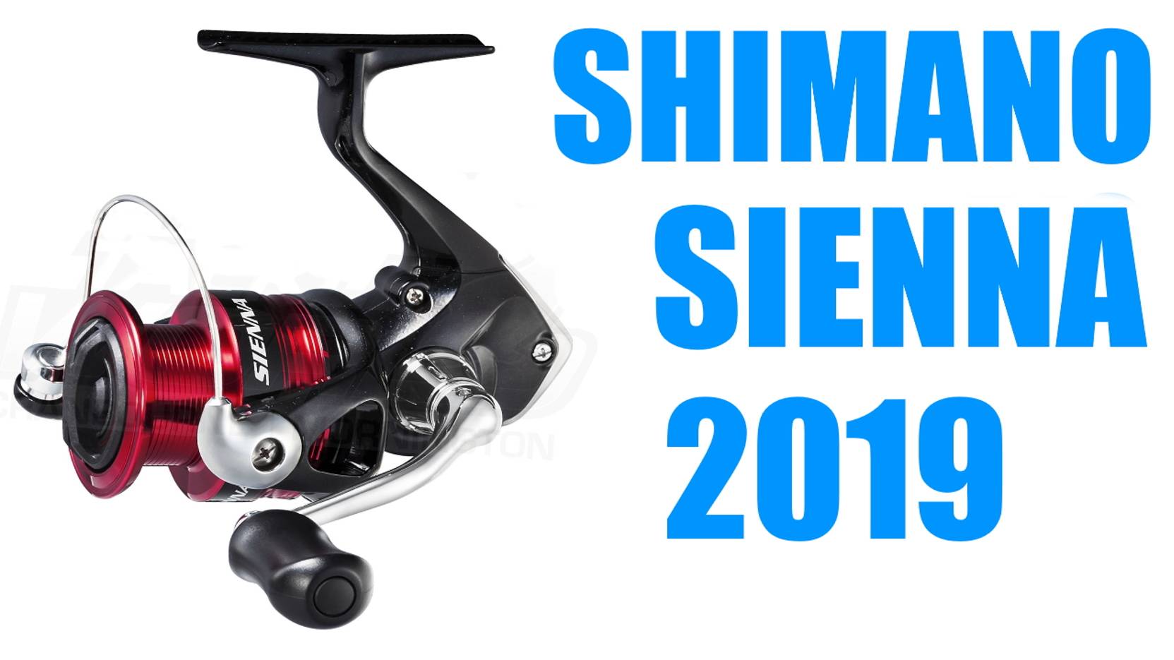 Shimano Sienna FG 2019 ОБЗОР смотреть онлайн