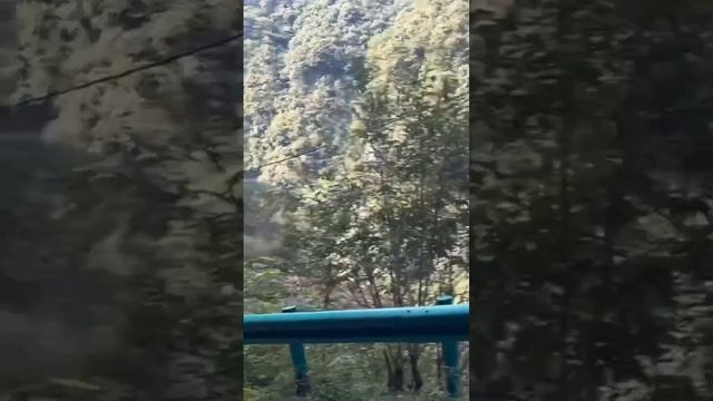 Ты кто такой а ну досвиданья смотреть онлайн
