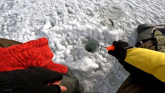 Наконец-то стала попадаться плотва смотреть онлайн
