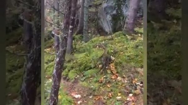 опасные природные явления