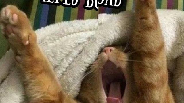 Доброе утро последнего дня Марта! смотреть онлайн