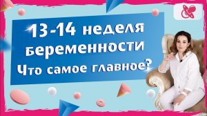 13-14 неделя беременности.  Что происходит с мамой и малышом?
